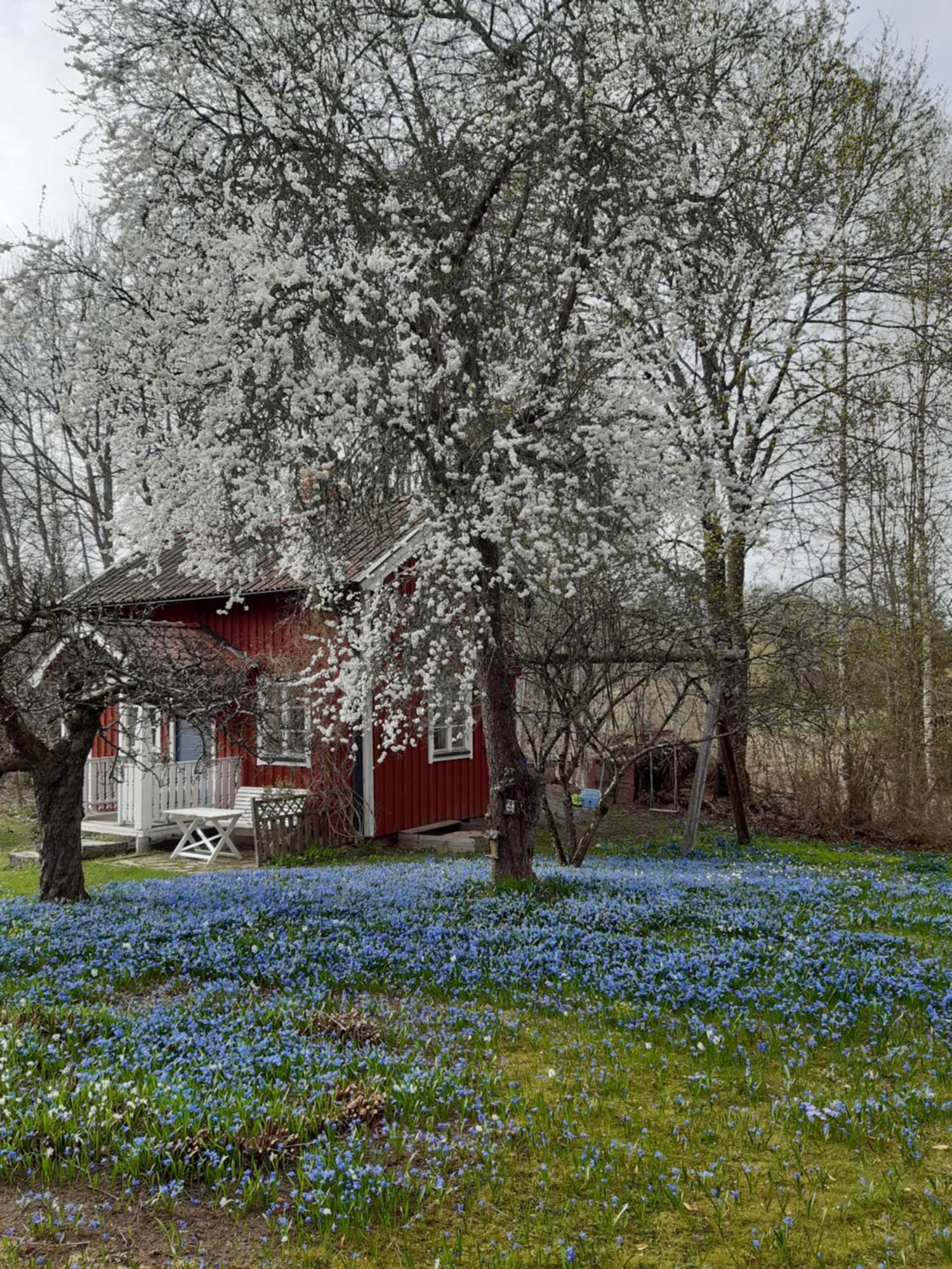 Roeda Stugan Pa Slinken Sala Exterior foto